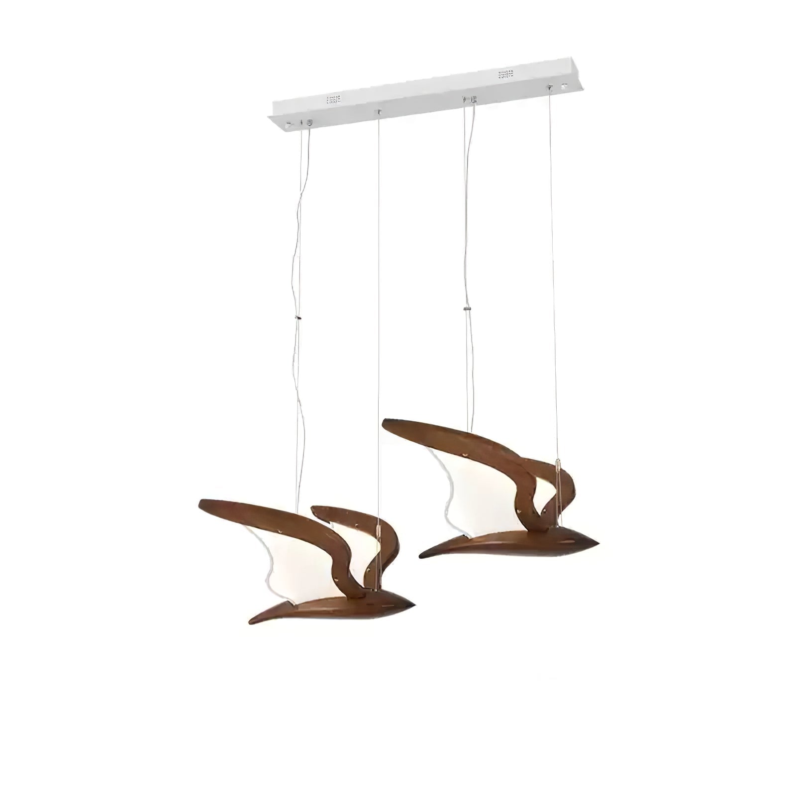 Walnut Color