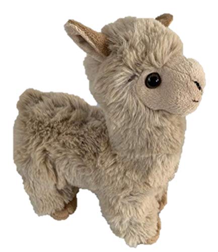 Llama