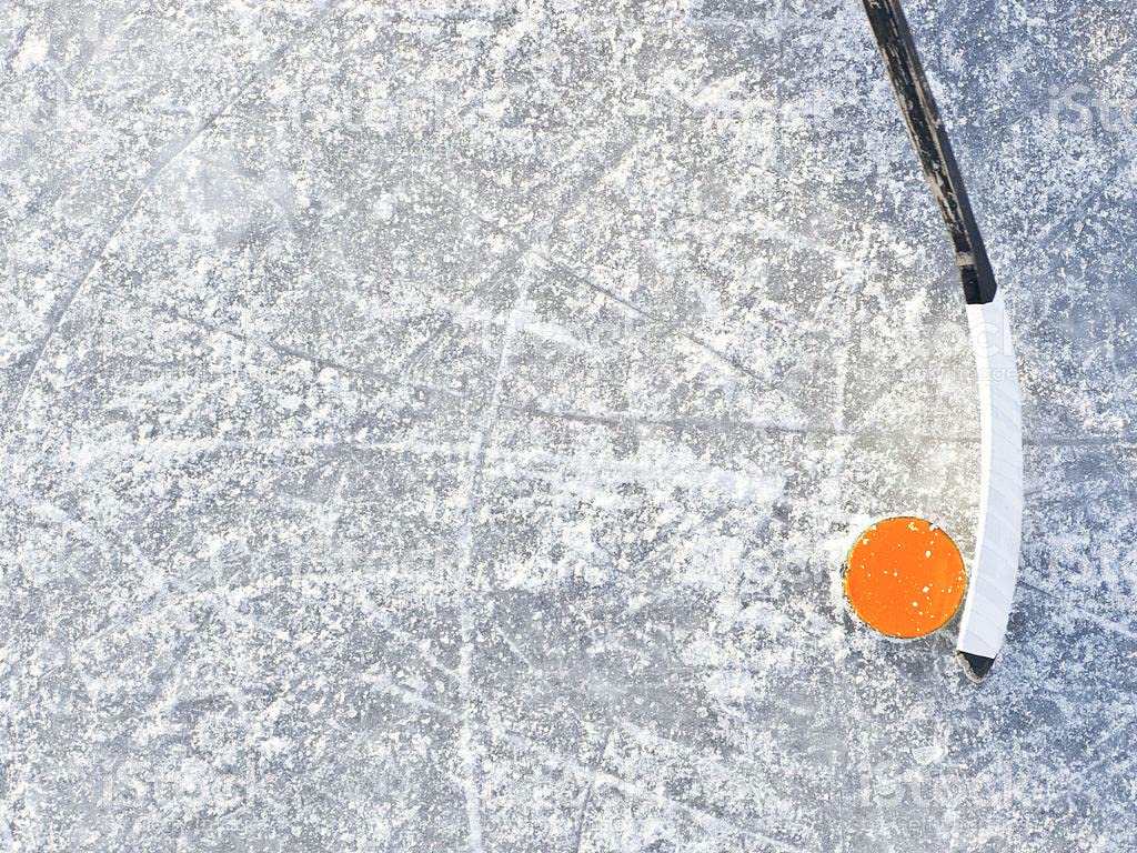 TronX 50-Pack Orange Weighted Ice Hockey Training Pucks (10 oz Each) – Bulk Hockey Pucks for Practice, Drills & Skill Development – Perfect for Coaches, Players & Teams