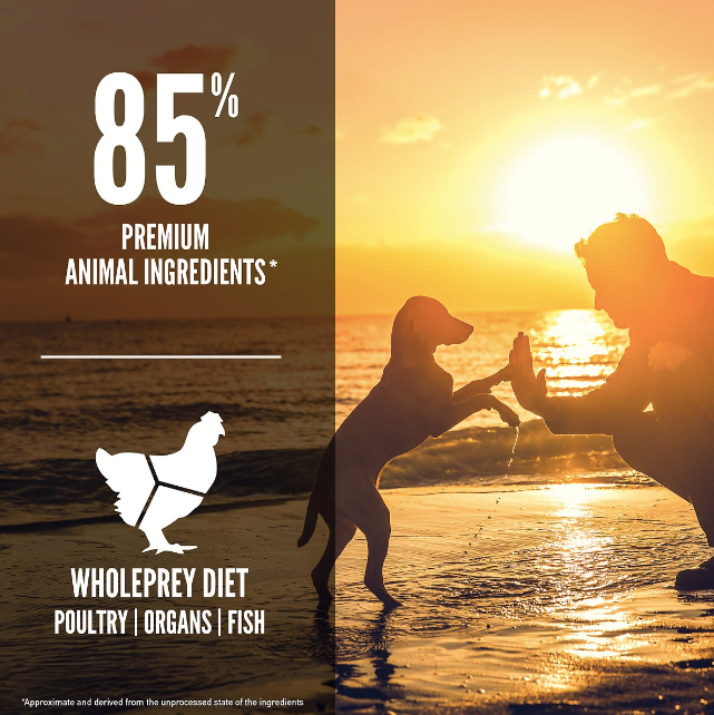 ORIJEN Grain-Free Dry Puppy Food - High-Protein Puppy Kibble for Small & Large Breed Dogs - Perfect for Training, Growth & Digestive Health