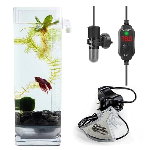 Aquarium with LED and Heater