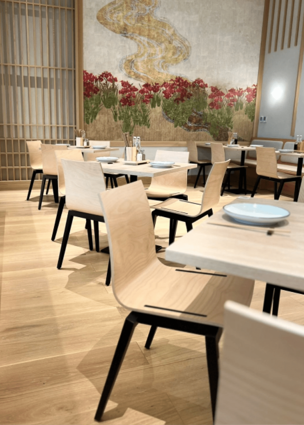 Stockholm Side Chair by Ton - Modern Wooden Dining Chair for Kitchen, Restaurant & Office - Scandinavian Design with Comfortable Seat & Sturdy Frame