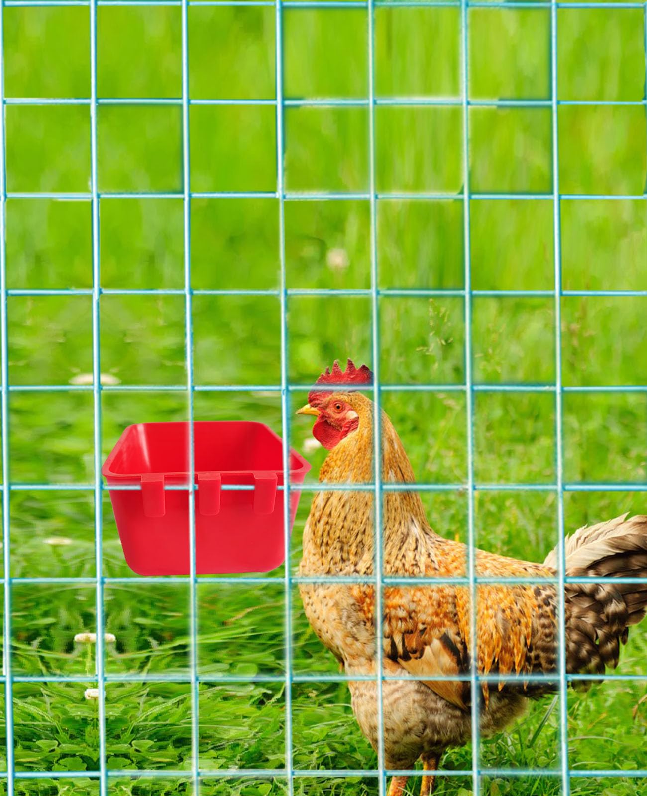 20 Pack Bird Feeders & Water Bowls - 16oz Hanging Cage Cups for Parrots, Chickens, Pigeons & Small Pets - Durable Seed & Water Dishes for Bird Cages, Coops & Aviaries - Perfect for Feeding & Watering Birds at Home or Farm