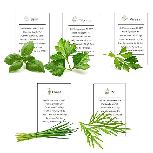Basil, Parsley, Cilantro, Chives & Dill