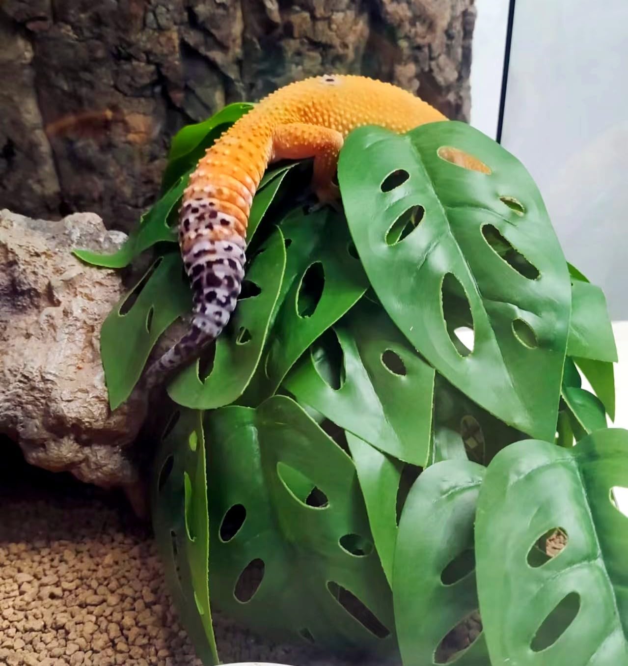 Artificial Reptile Plants for Terrarium Decor - Swiss Cheese Design Amphibian Habitat Accessories for Bearded Dragon, Gecko, Chameleon, Snake & Tortoise Tanks - Perfect for Jungle Themed Vivarium Setup