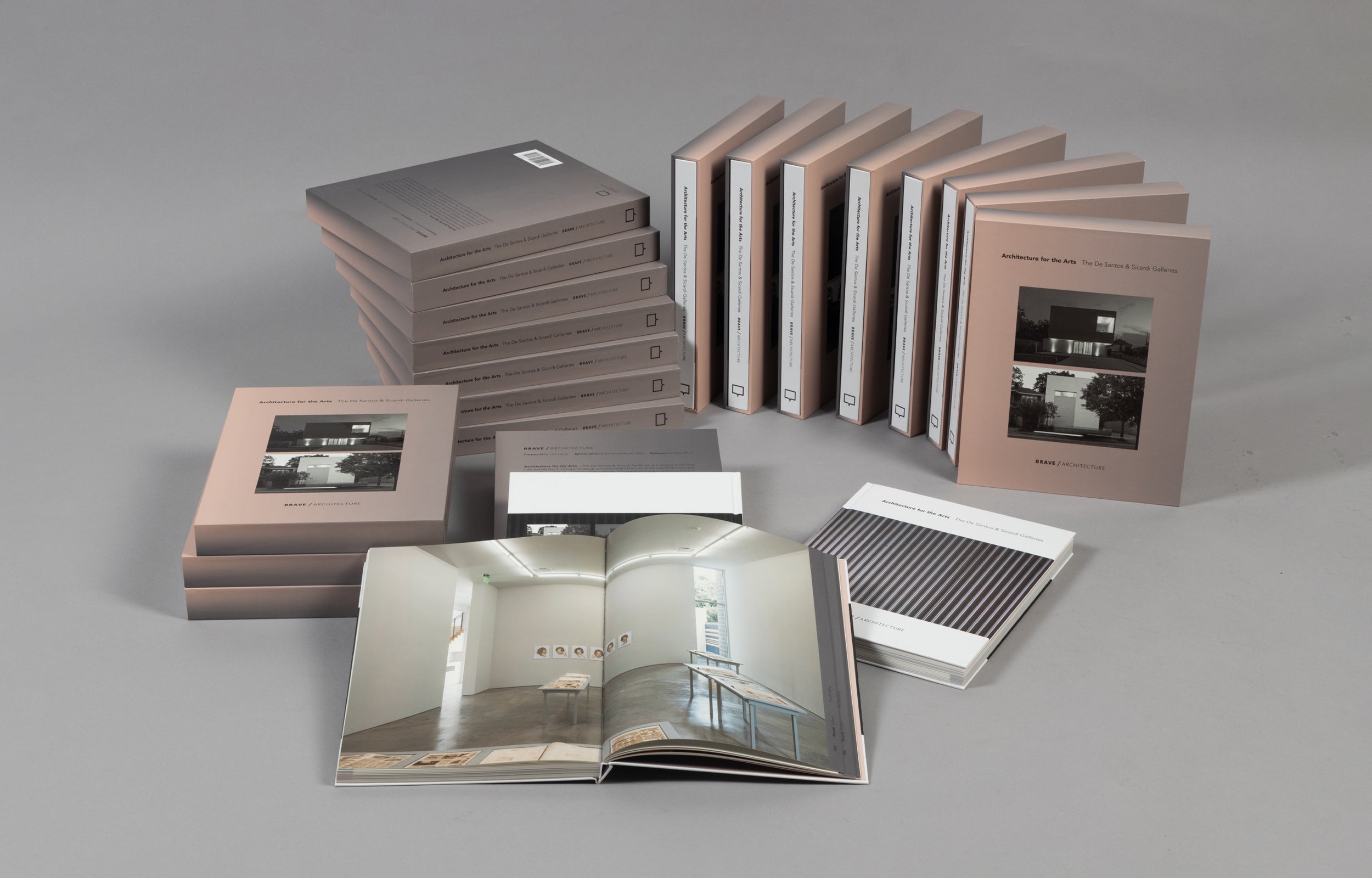 Architecture for the Arts: De Santos & Sicardi Galleries - Contemporary Art Exhibition Space for Modern Collectors & Interior Design