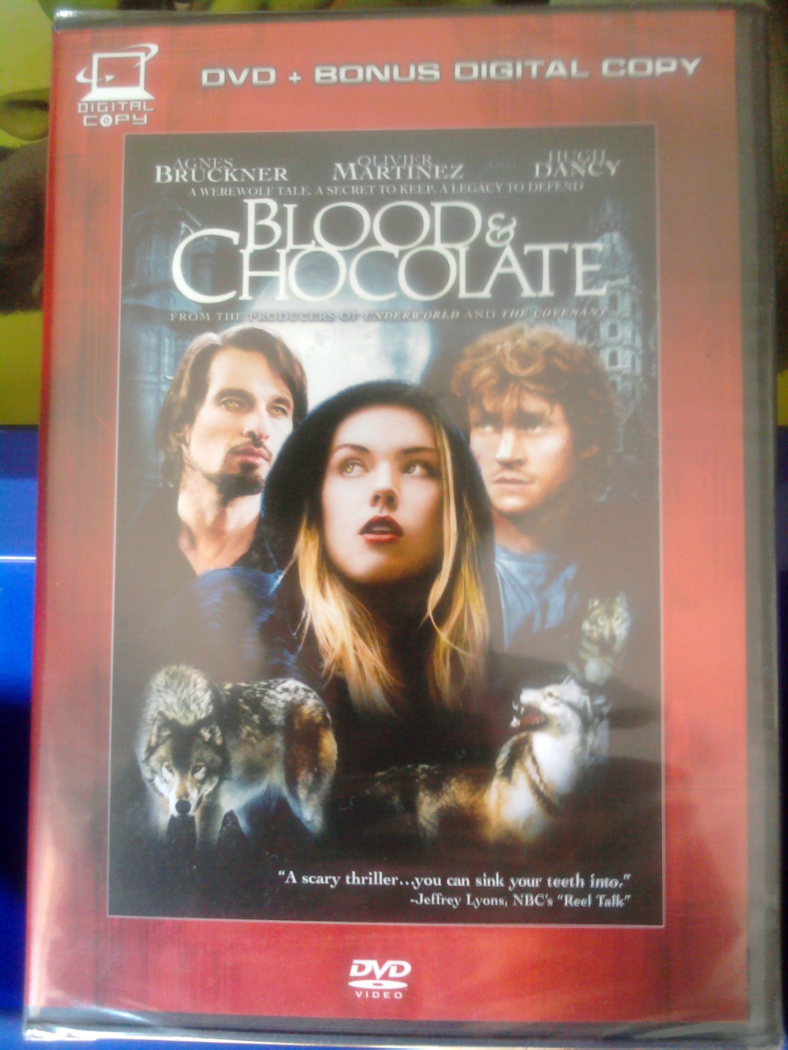 Blood & Chocolate - Gourmet Dark Chocolate for Gifts & Romance