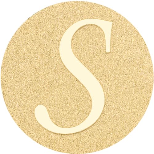 S Tie Pins