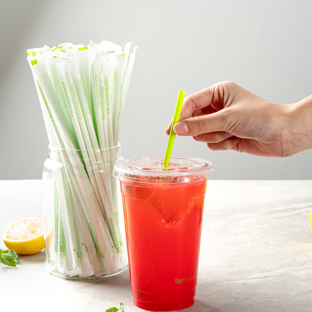 Eco-Friendly Compostable PLA/PBAT Plastic Straws - 8 1/4