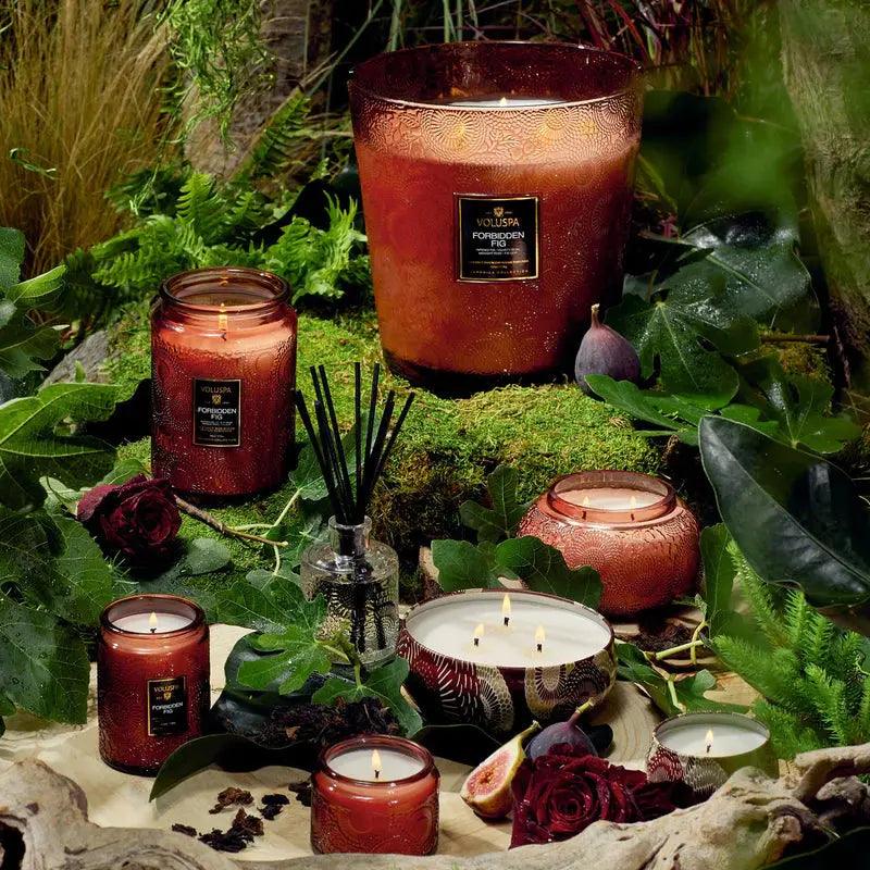 Forbidden Fig Reed Diffuser - Premium Home Fragrance Oil Set for Aromatherapy, Relaxation & Stress Relief - Perfect for Living Room, Bedroom, Office & Spa Decor