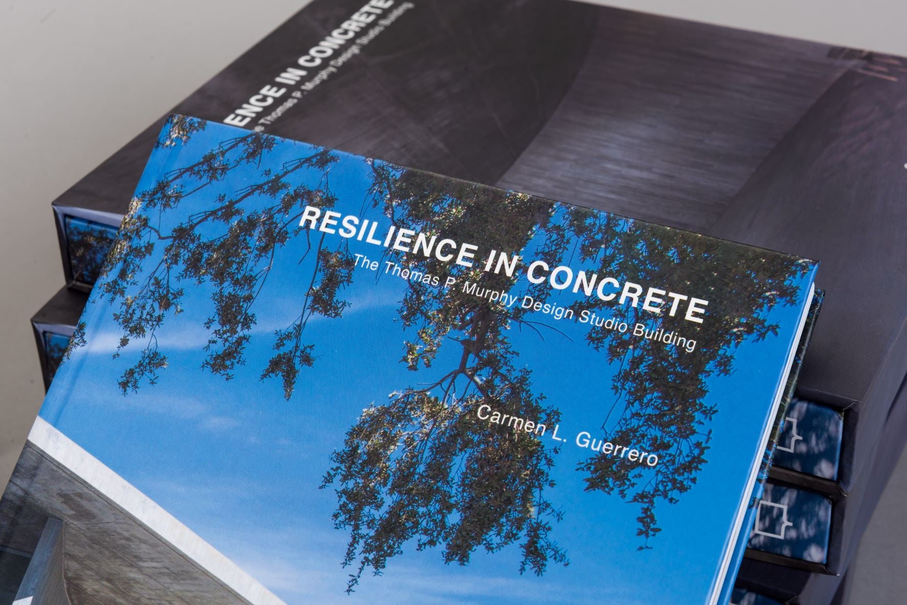 Thomas P. Murphy Design Studio Building - Modern Concrete Architecture for Design Studios & Creative Workspaces | Perfect for Architects, Artists & Design Professionals