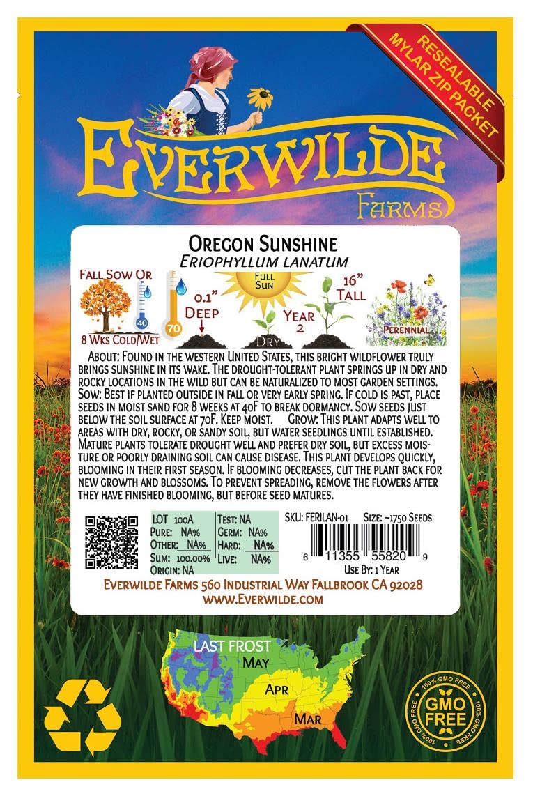 Everwilde Farms - 1750 Oregon Sunshine Native Wildflower Seeds - Gold Vault Jumbo Seed Packet for Pollinator Gardens, Landscaping & DIY Bouquets