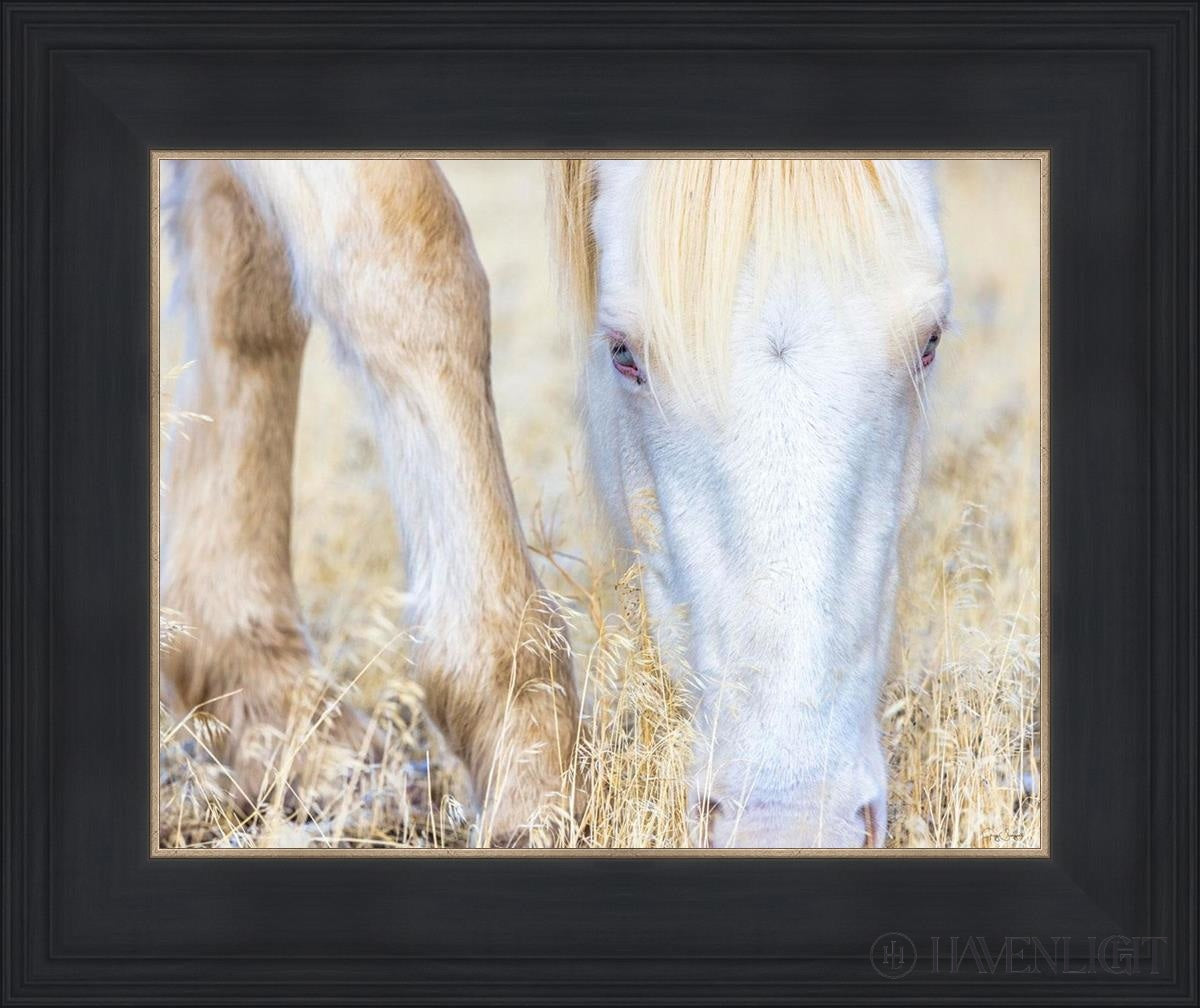 Dry Grass by Greg Sargent - Premium Handcrafted Home Decor for Rustic & Farmhouse Style - Perfect for Wall Art, Shelf Displays & Cozy Living Room Decor