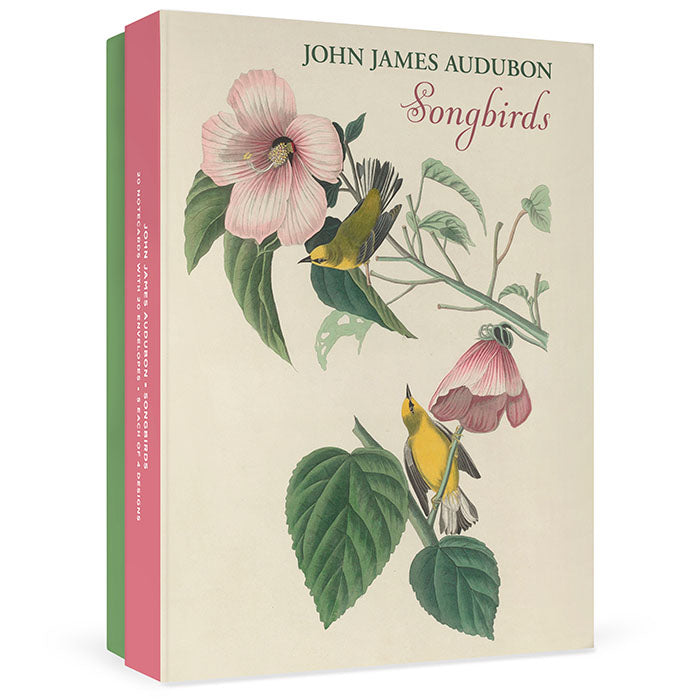 John James Audubon Songbirds Boxed Notecard Set - 20 Assorted Bird Note Cards with Envelopes - Perfect for Thank You Notes, Greeting Cards & Stationery Gifts