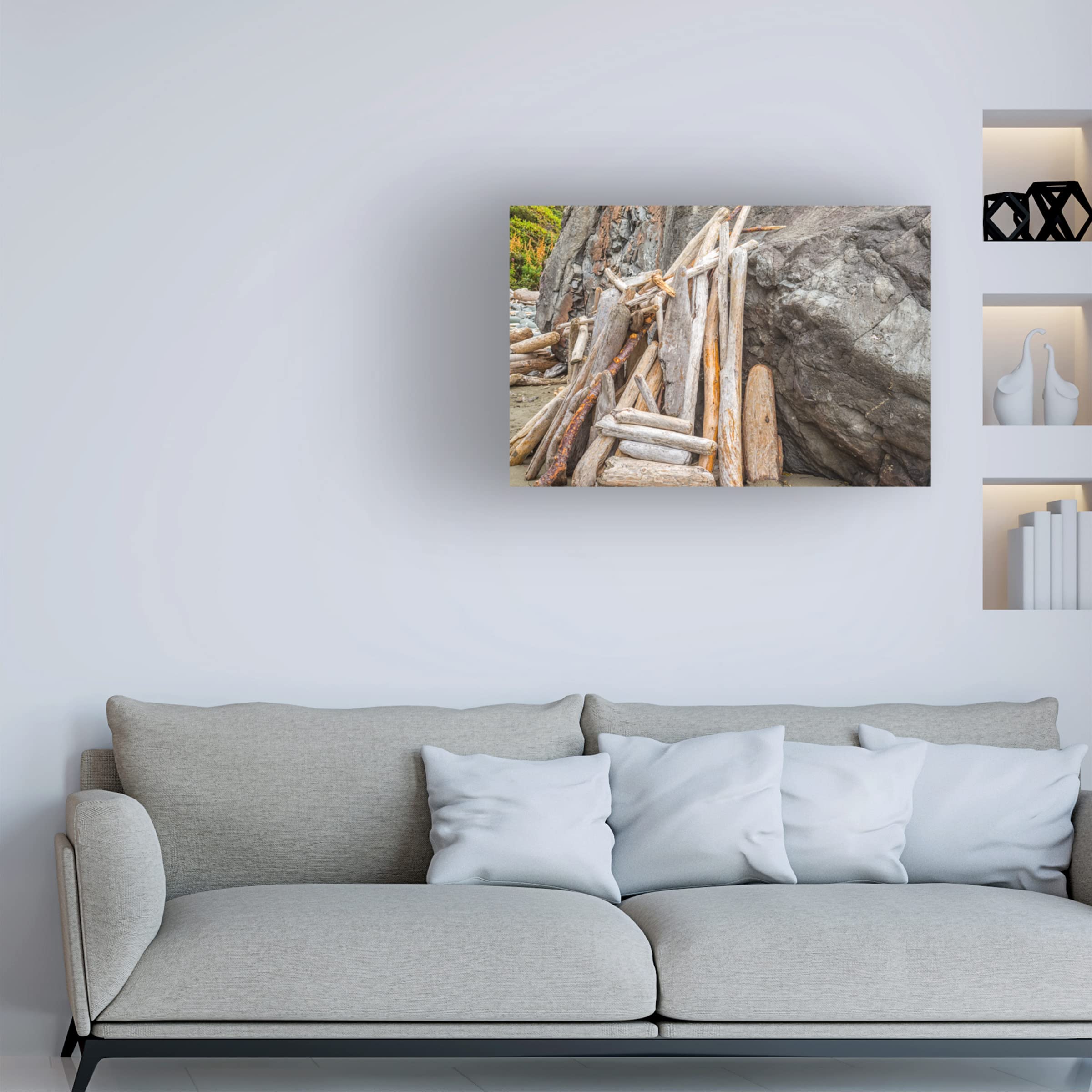 Bundle of Driftwood Beauty Canvas Wall Art by Joseph S Giacalone - 16x24 Inches Coastal Home Decor for Living Room, Bedroom & Office