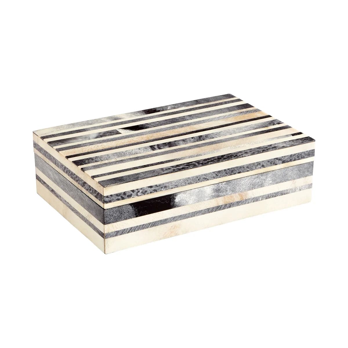 Arcadian Container - Premium Storage Solution for Home & Office Organization | Perfect for Pantry, Closet & Garage Storage