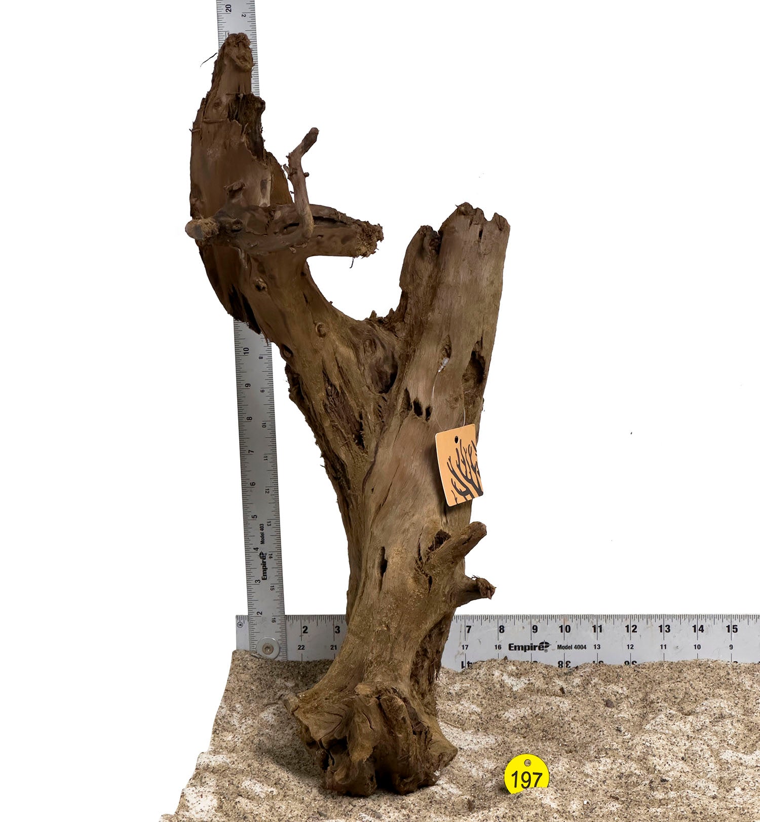 Premium Malaysian Mangrove Wood Logs - Large Size Natural Driftwood for Aquarium Decor, Terrarium, Reptile Habitat & Home Decoration