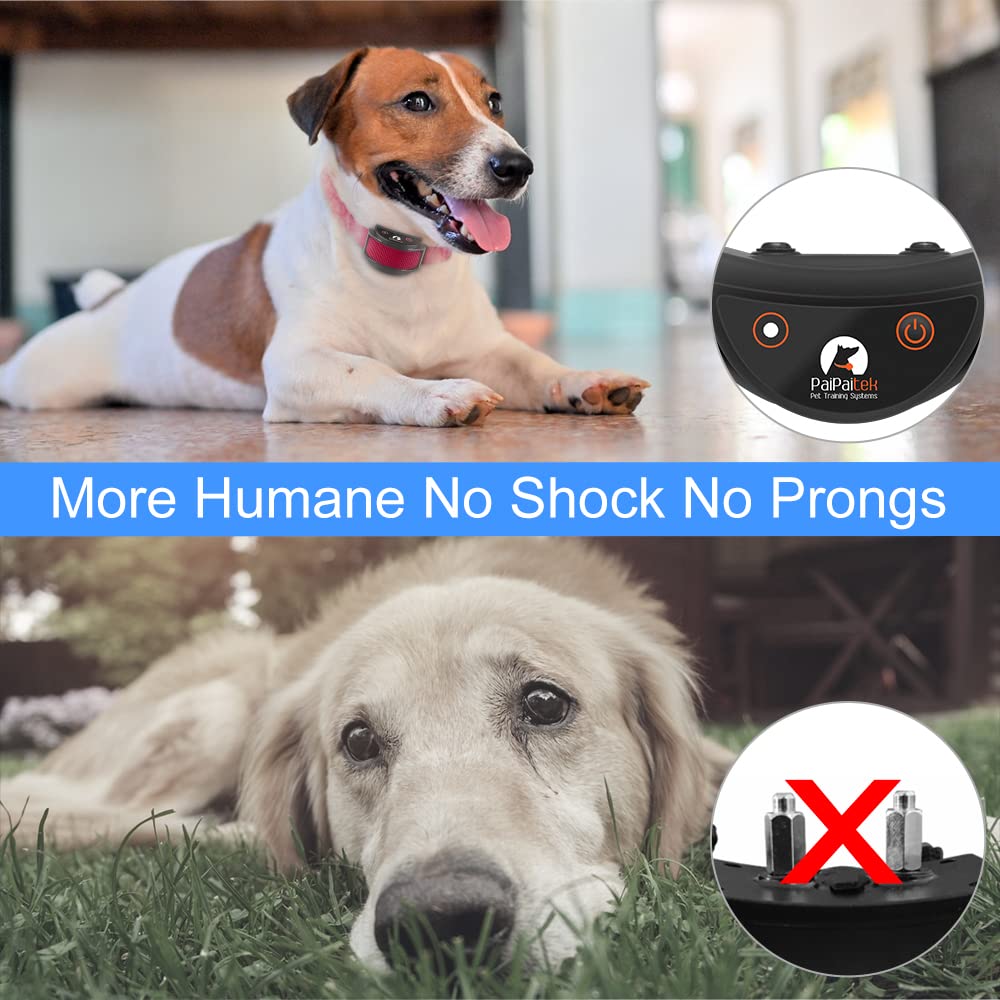 PaiPaitek No Shock Dog Training Collar with Remote - Lightest Rechargeable Vibration Collar for Small (5-15lbs) & Medium/Large Dogs - Waterproof, 1600ft Range, No Prongs - Perfect for Obedience Training, Bark Control & Outdoor Adventures