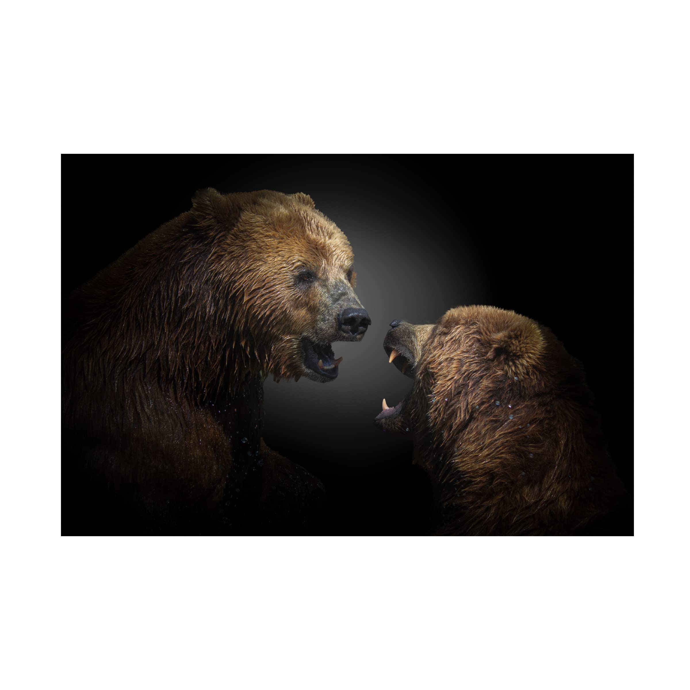 Trademark Fine Art 'Fight' Canvas Wall Art Print by Jorg Vollrath - Modern Abstract Painting for Living Room, Office & Home Decor