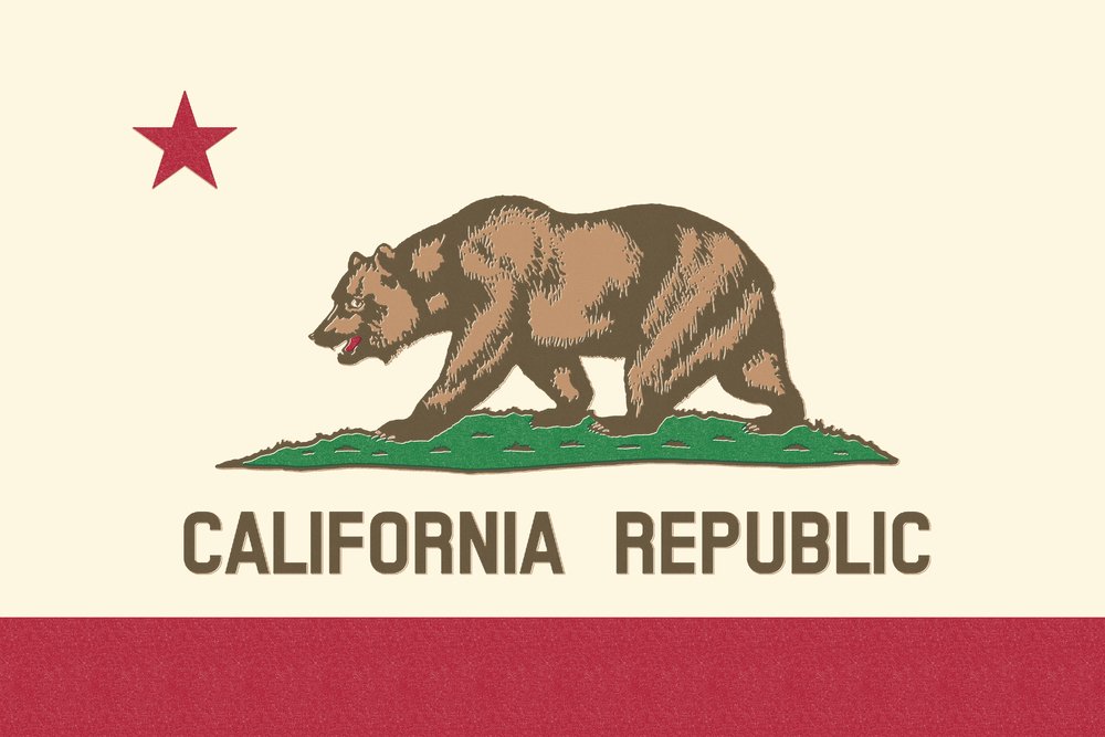 California State Flag Metal Art - 12x18 Premium Aluminum Letterpress Wall Decor for Home, Office & Outdoor Use | Durable & Weather-Resistant for Patio, Garden & Business Spaces