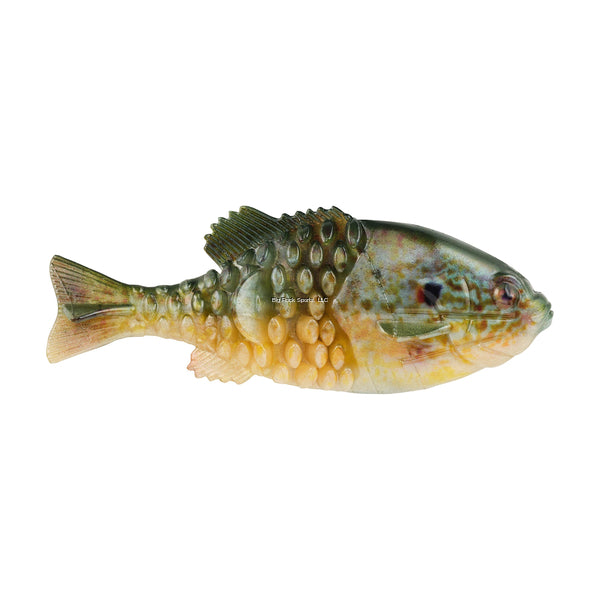 Berkley PowerBait Gilly Swimbait Fishing Lure - Designed by Mike Iaconelli - Perfect for Bass, Walleye & Freshwater Fishing | Realistic Action & Scent Attractant