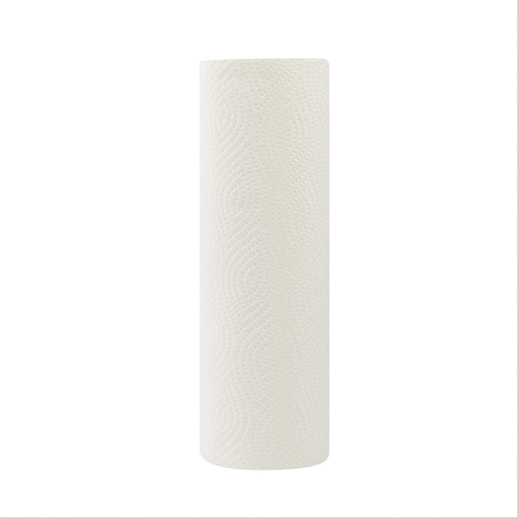 Premium 2-Ply Paper Towels - 6 Rolls, 66 Sheets Per Roll | Strong & Absorbent for Kitchen, Cleaning & Spills | Eco-Friendly & Soft for Home & Office Use