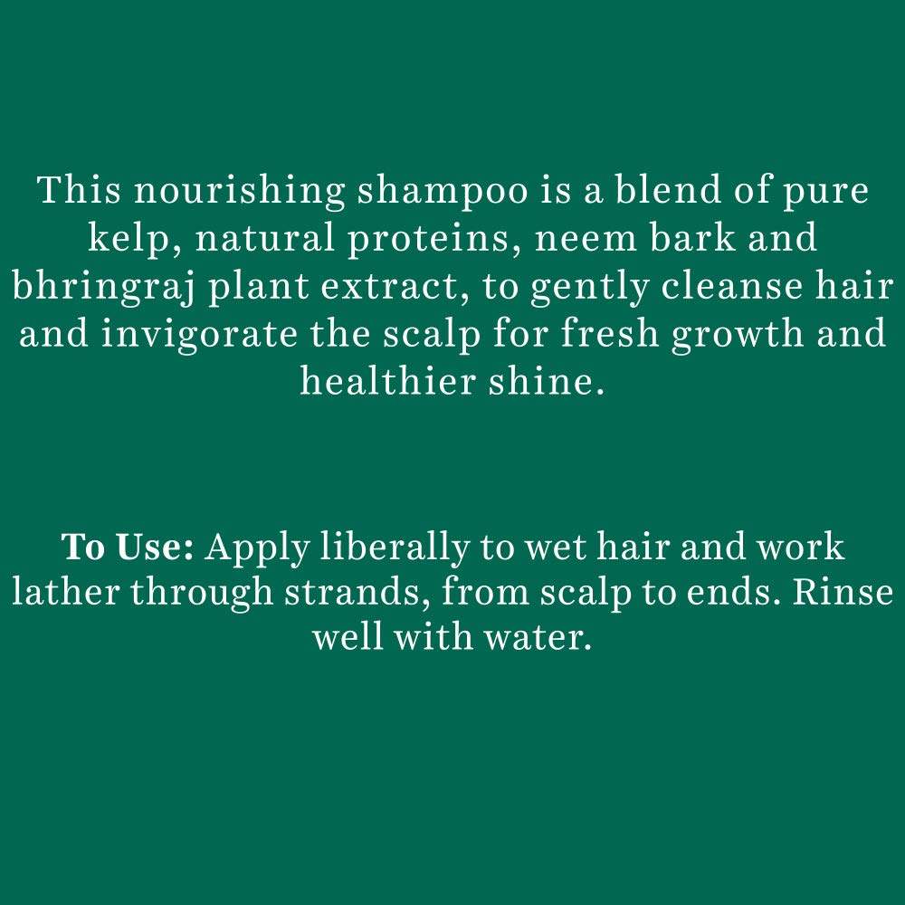 Biotique Bio Kelp Protein Shampoo for Hair Loss Treatment & Hair Regrowth | 340ml | Natural Ingredients for Thicker, Stronger Hair | Daily Use for Men & Women    Biotique Tea Tree Face Wash for Normal to Oily Skin | 150ml | Deep Cleansing & Acne Control | Refreshing Daily Skincare Routine    (Perfect for daily haircare to reduce hair fall and promote growth / Ideal for morning and night face cleansing to prevent breakouts)