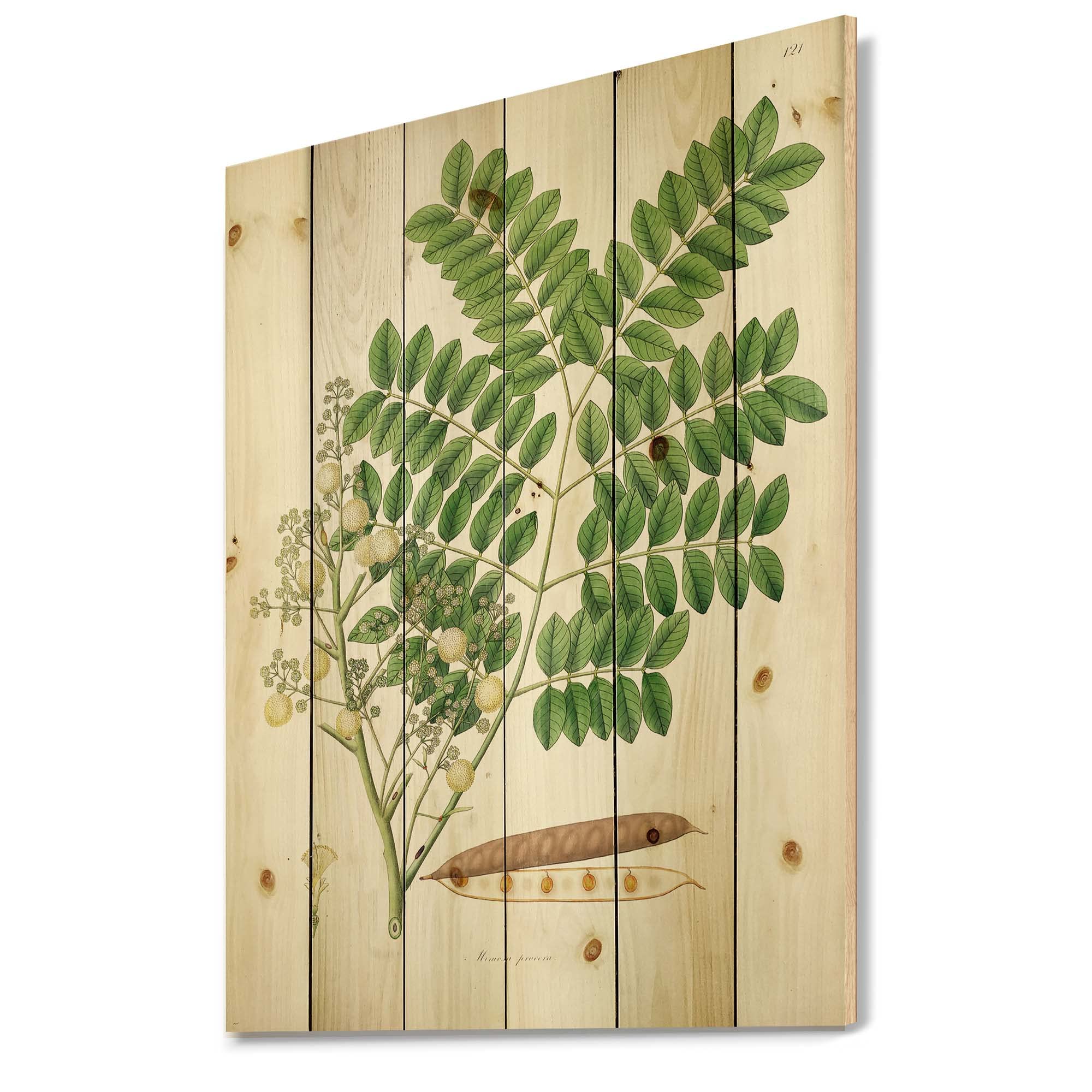 Vintage Botanicals Farmhouse Wood Wall Decor - Large Floral Wall Art Panels Printed on Natural Pine Wood - Rustic Home Decor for Living Room, Bedroom, Kitchen & Office