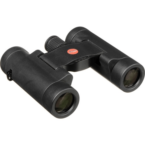 Leica 8x20 Ultravid BR Binoculars - Compact High-Powered Binoculars for Bird Watching, Hiking & Travel - Black Rubber Armor Coating