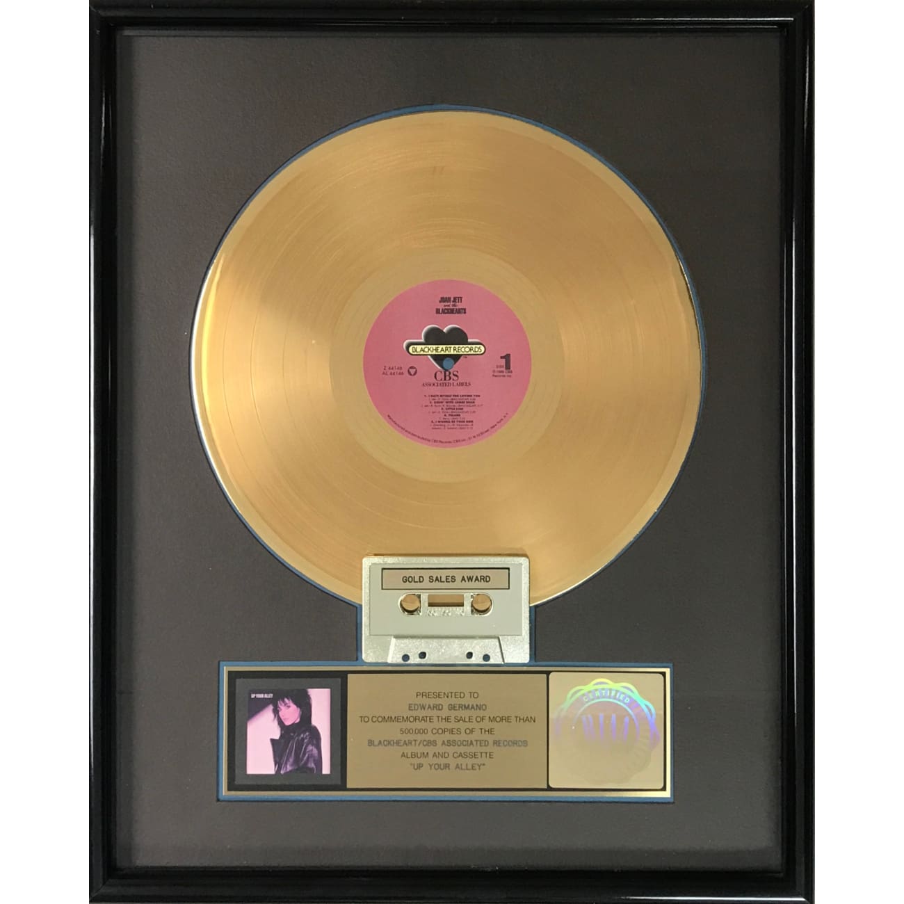 Joan Jett Up Your Alley RIAA Gold Album Award - Vintage Music Collectible for Fans & Decor    Perfect for Music Memorabilia Displays, Fan Collections & Retro Room Decor