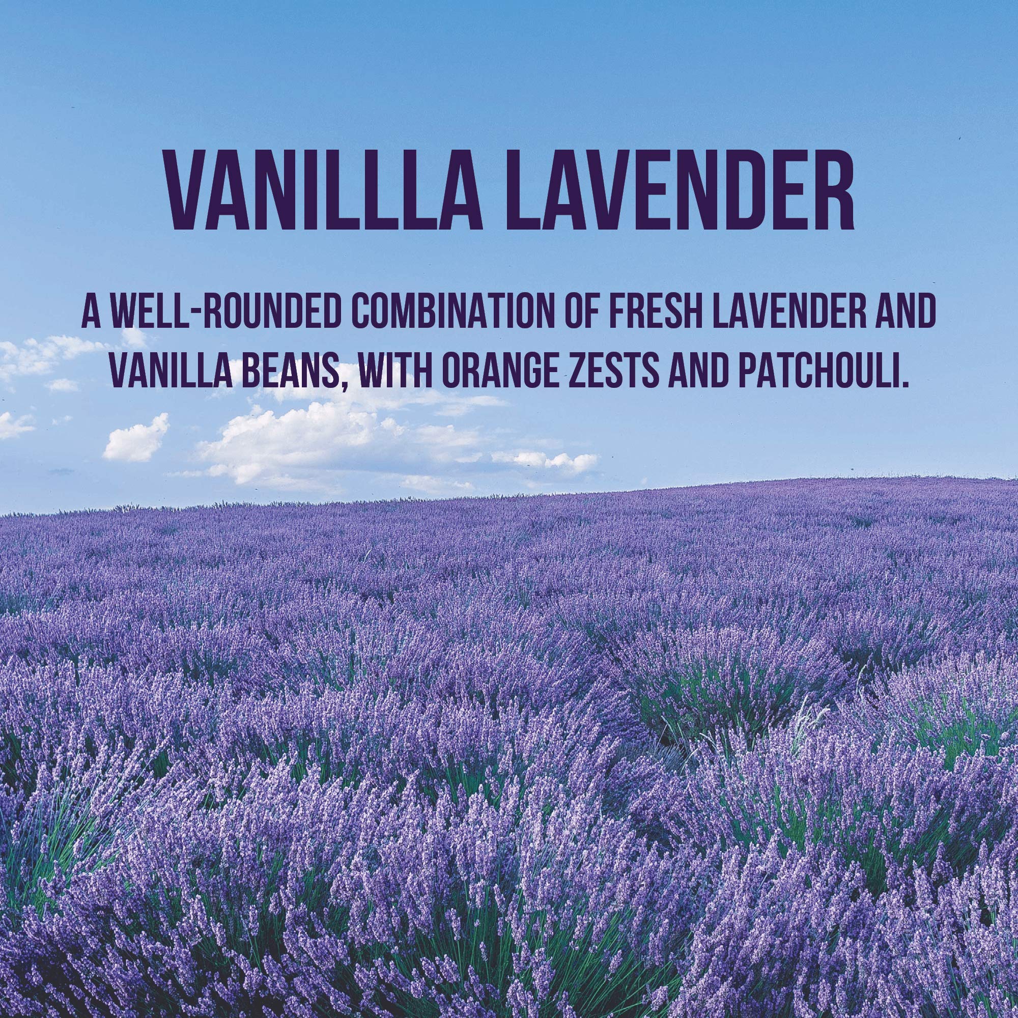 Premium Wooden Car Air Freshener - 365+ Days Long-Lasting Vanilla Lavender Scent - Includes Pineapple Hanging Mirror Diffuser & Fragrance Oil - 100% American Made - Perfect for Cars, Offices & Home Décor