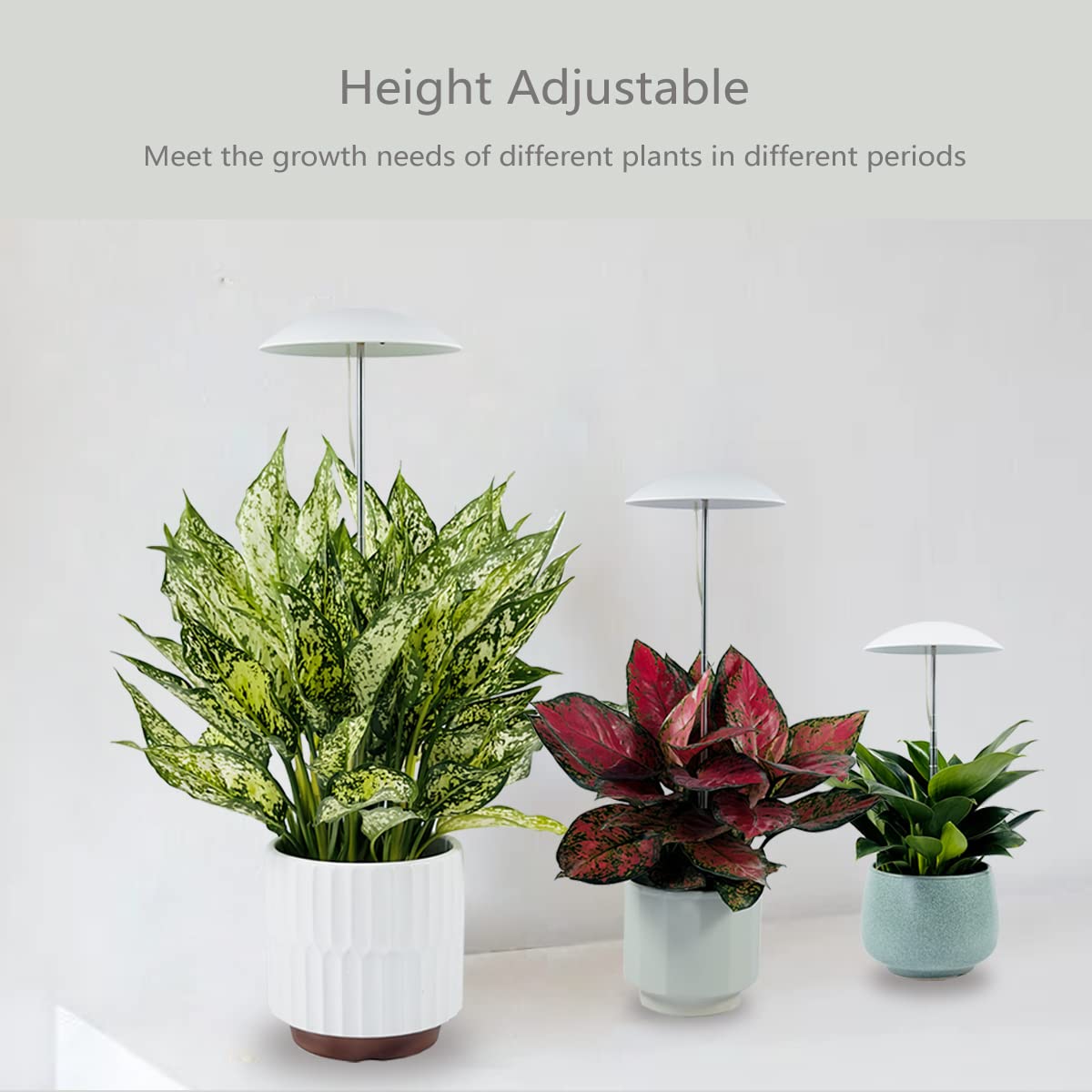 2 Pack LED Grow Lights for Indoor Plants - Full Spectrum USB Plant Light with Remote, Height Adjustable & Auto On/Off Timer - Perfect for Home Decor, Hydroponics, Seedlings & Indoor Gardening
