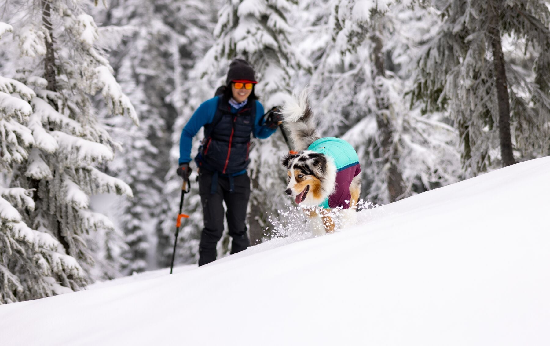 Ruffwear Powder Hound Hybrid Dog Jacket - Waterproof & Insulated Winter Coat for Active Dogs (Persimmon Orange) - Perfect for Hiking, Snow Play & Outdoor Adventures