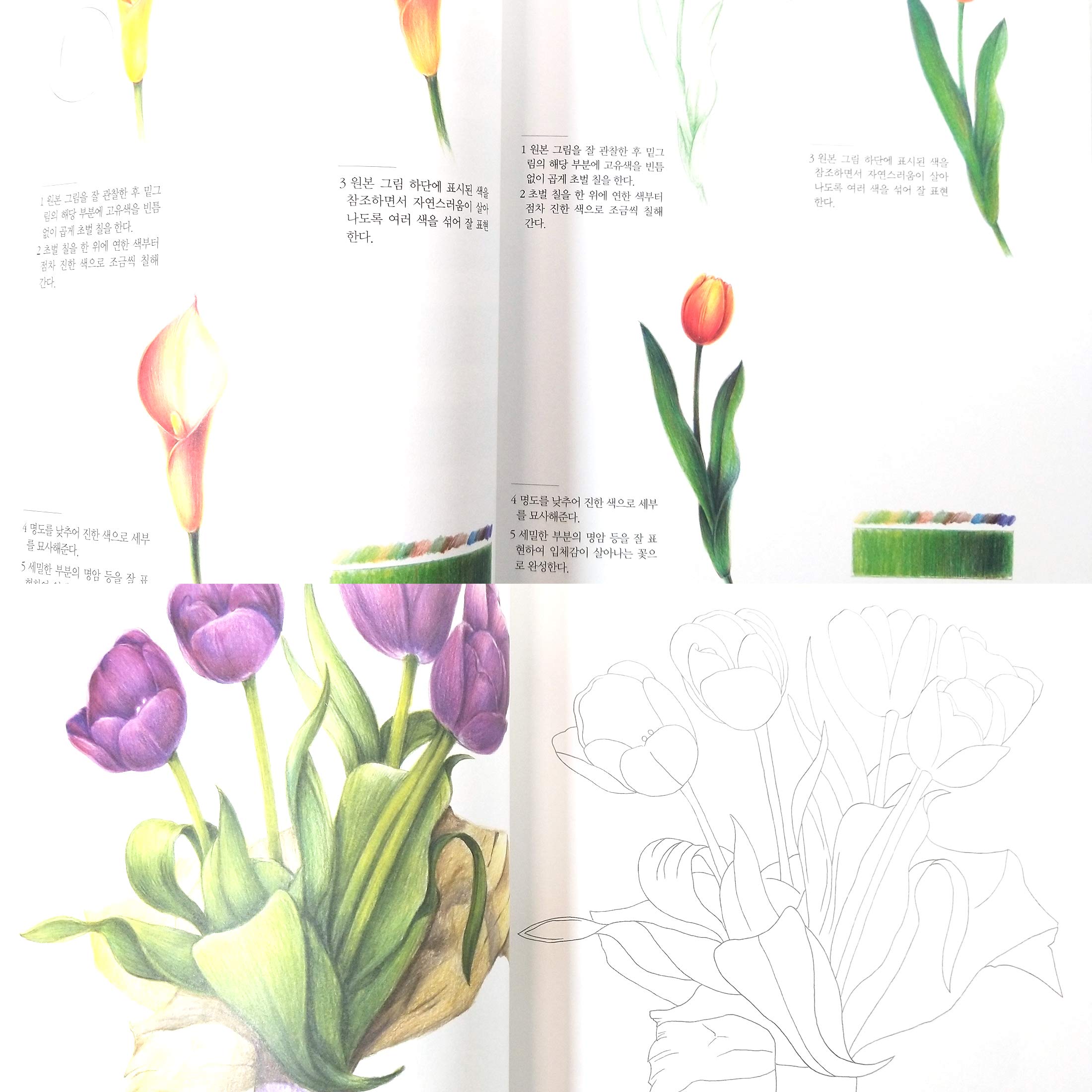 Botanical Art Coloring Book for Adults - Beautiful Bouquet Designs for Relaxation & Stress Relief | Easy to Follow Patterns | Perfect for Meditation, Art Therapy & Creative Hobbies