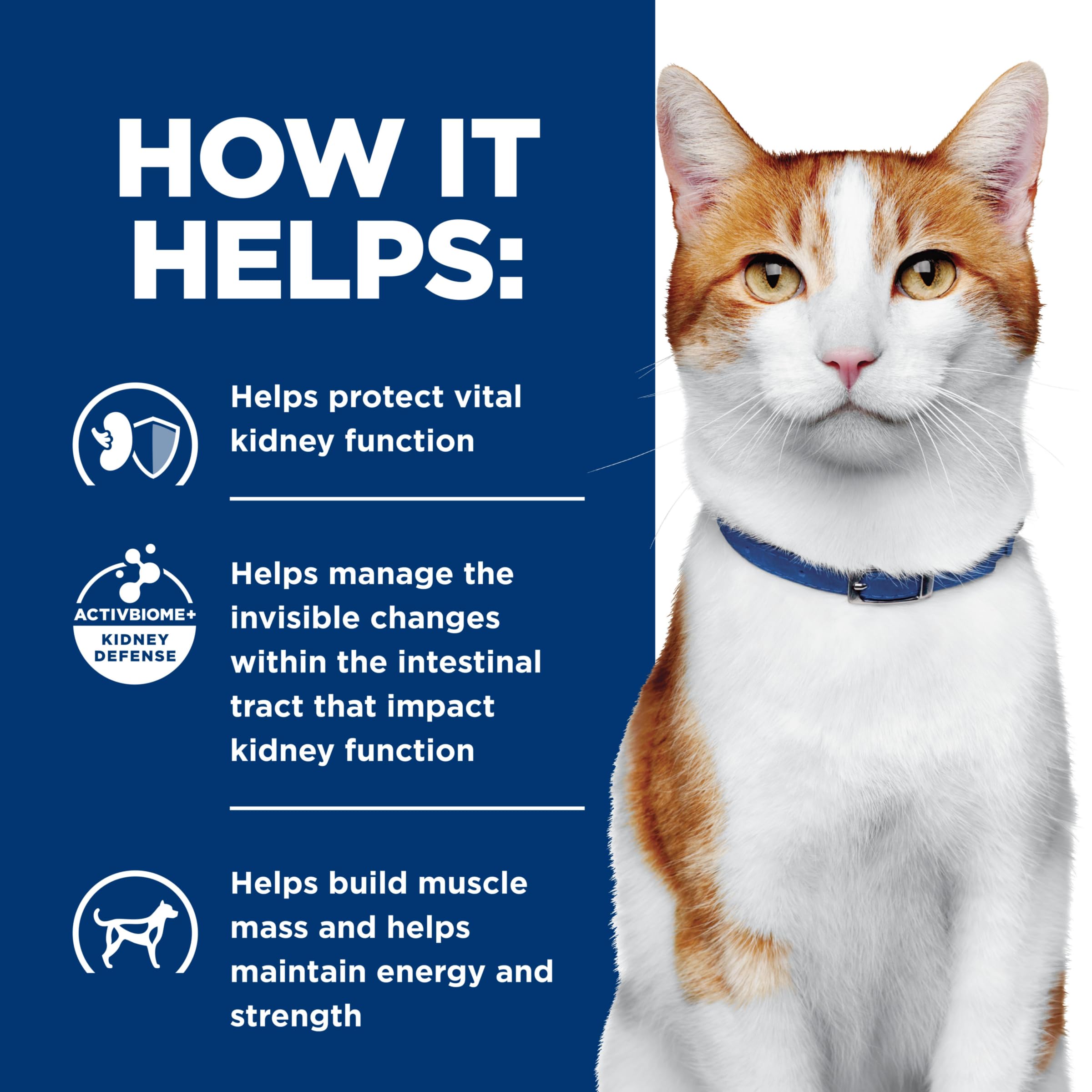 Hill's Prescription Diet k/d Kidney Care Wet Cat Food - Veterinary Diet with Vegetable, Tuna & Rice Stew, 2.9 oz Cans (24-Pack) | Supports Kidney Health for Cats with Renal Issues - Perfect for Senior Cats or Felines with Kidney Disease