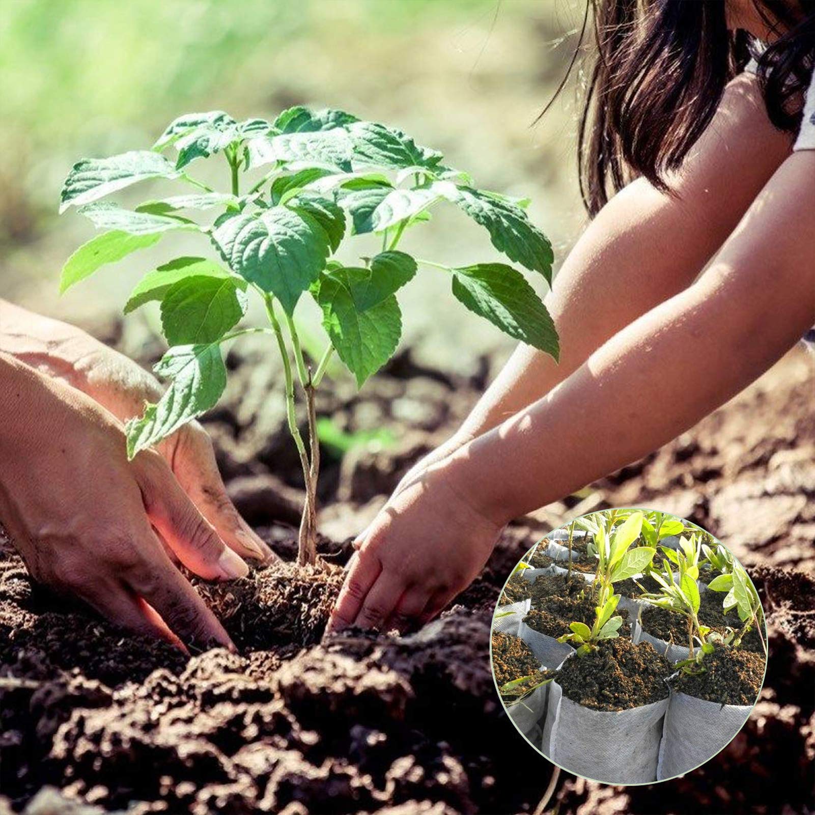 200pcs Biodegradable Plant Grow Bags 7.8