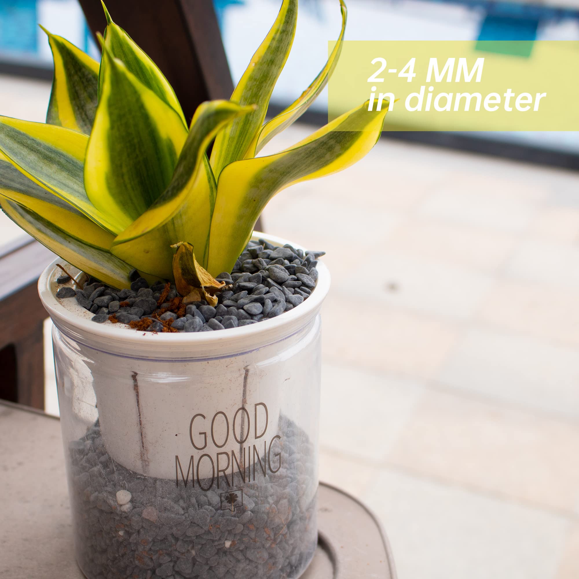 Natural Black River Rocks for Plants - 18 LB Smooth Aquarium Gravel, Succulents Bonsai Terrarium Decor (6-9 mm) | Perfect for Indoor/Outdoor Gardens, Fish Tanks & Vase Fillers