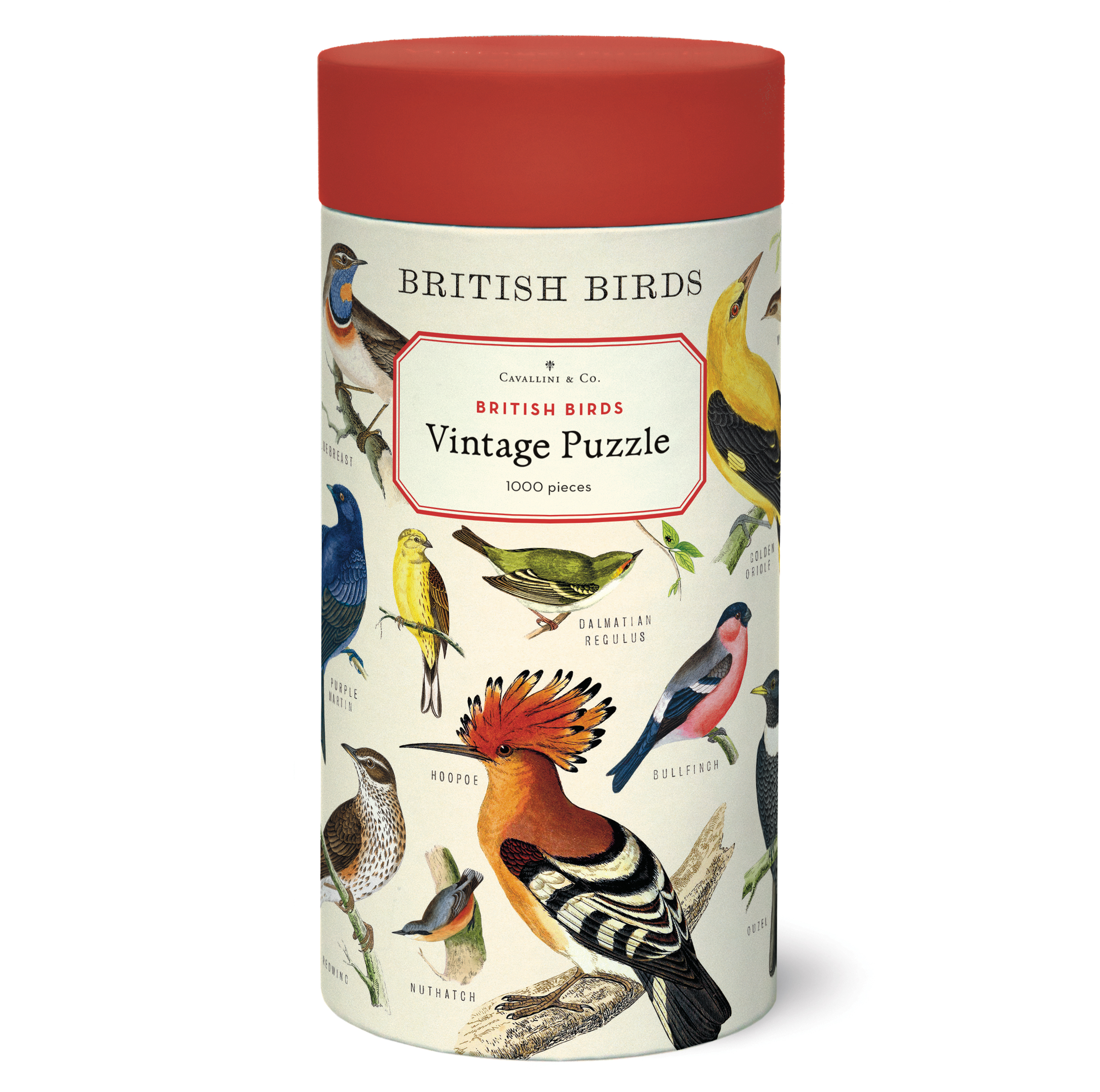 British Birds Jigsaw Puzzle - 500 Piece Wildlife Nature Puzzle for Adults & Kids - Perfect for Family Game Night & Educational Learning
