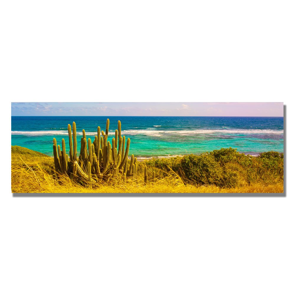 Preston St. Croix Beach Canvas Wall Art - 16x47 Inch Coastal Decor for Living Room, Bedroom & Office - Trademark Fine Art Seascape Painting