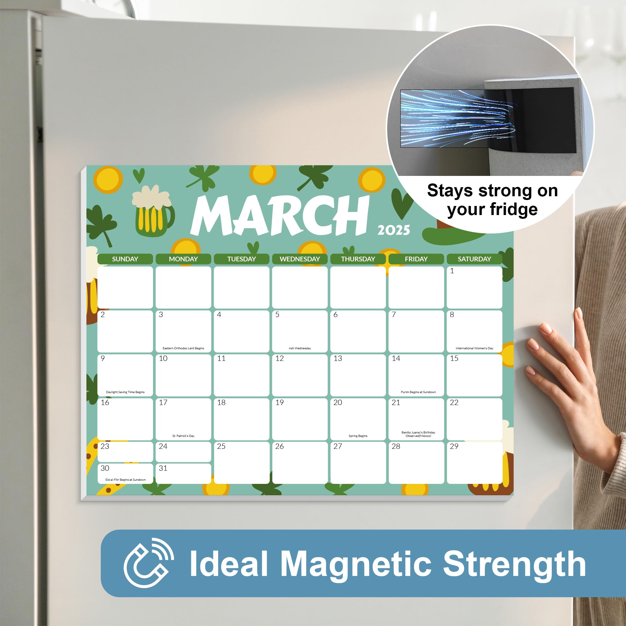 GNL 2025-2026 Magnetic Refrigerator Calendar - 18 Month Monthly Planner from Now to December 2026 with Strong Magnet - 8.5