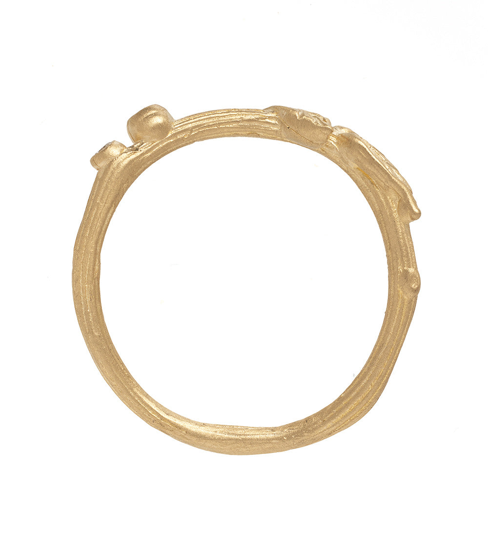 Twig Nesting Band - Natural Wooden Bird Nesting Material for Wild Birds - Perfect for DIY Birdhouses, Garden Decor, and Wildlife Habitat Enhancement