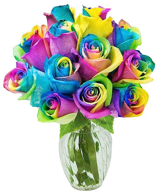 Premium 12 Rainbow Roses Bouquet with Glass Vase - Fresh Cut Flowers for Birthday, Anniversary, Valentine's Day, Mother's Day, Sympathy, Get Well & Thank You Gifts - Perfect for Home Decor, Wedding Centerpieces & Romantic Surprises