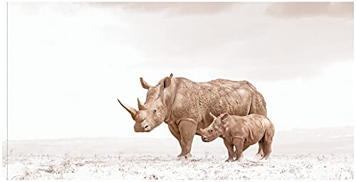 Rhino Mom's Love