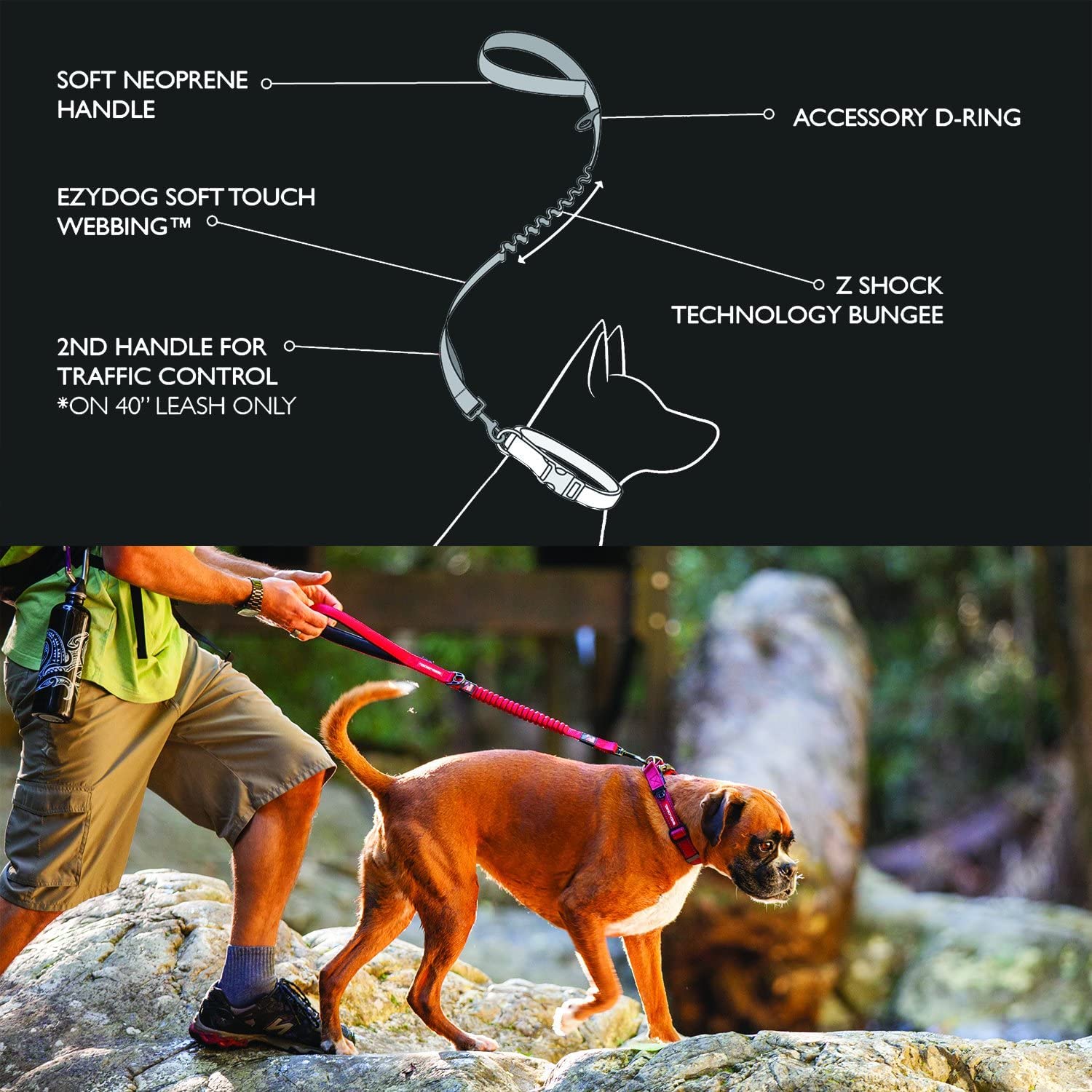 EzyDog Zero Shock Dog Leash - Shock Absorbing Bungee Leash for Pulling Dogs - Dual Handle Reflective Pet Leash for Large Medium Small Dogs (48-Inch, Purple) - Perfect for Walking Running Hiking Training Active Dogs