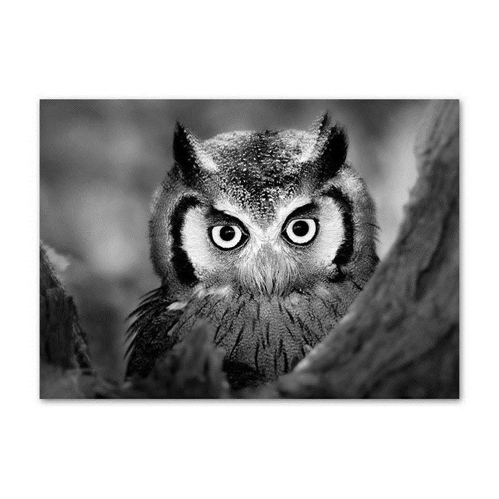 5D Diamond Painting Kit - Black and White Owl DIY Full Drill Round Crystal Rhinestone (80x120cm/32x48in) | Cross Stitch Canvas Embroidery Art for Home Decor, Wall Art, Bedroom & Living Room Decoration | Perfect Gift for Adults & Craft Lovers
