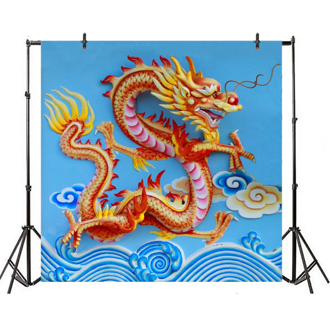5x5ft Chinese Dragon Relief Sculpture Backdrop - Fantasy Temple Wall Photography Background for Studio Props, Vinyl Banner, Home & Event Decor | Perfect for Themed Parties, Cultural Events & Photo Shoots