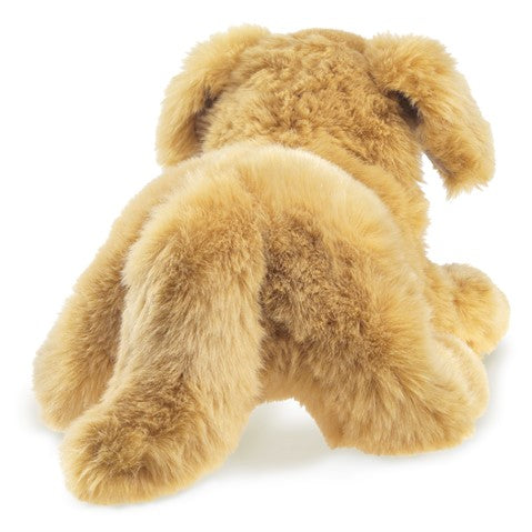 Folkmanis Golden Retriever Hand Puppet - Realistic Dog Puppet for Kids, Storytelling & Educational Play - Perfect for Classroom, Theater & Family Bonding Activities