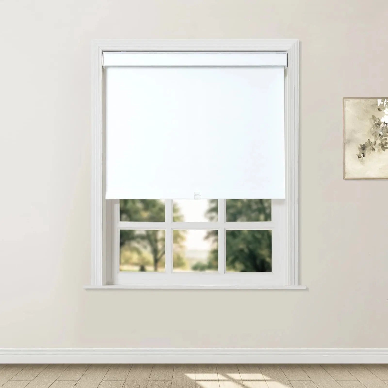 Blackout Cordless Roller Shades for Windows - Room Darkening Window Treatments for Bedroom, Nursery & Home Theater - Premium Fabric by Alvin Boutique