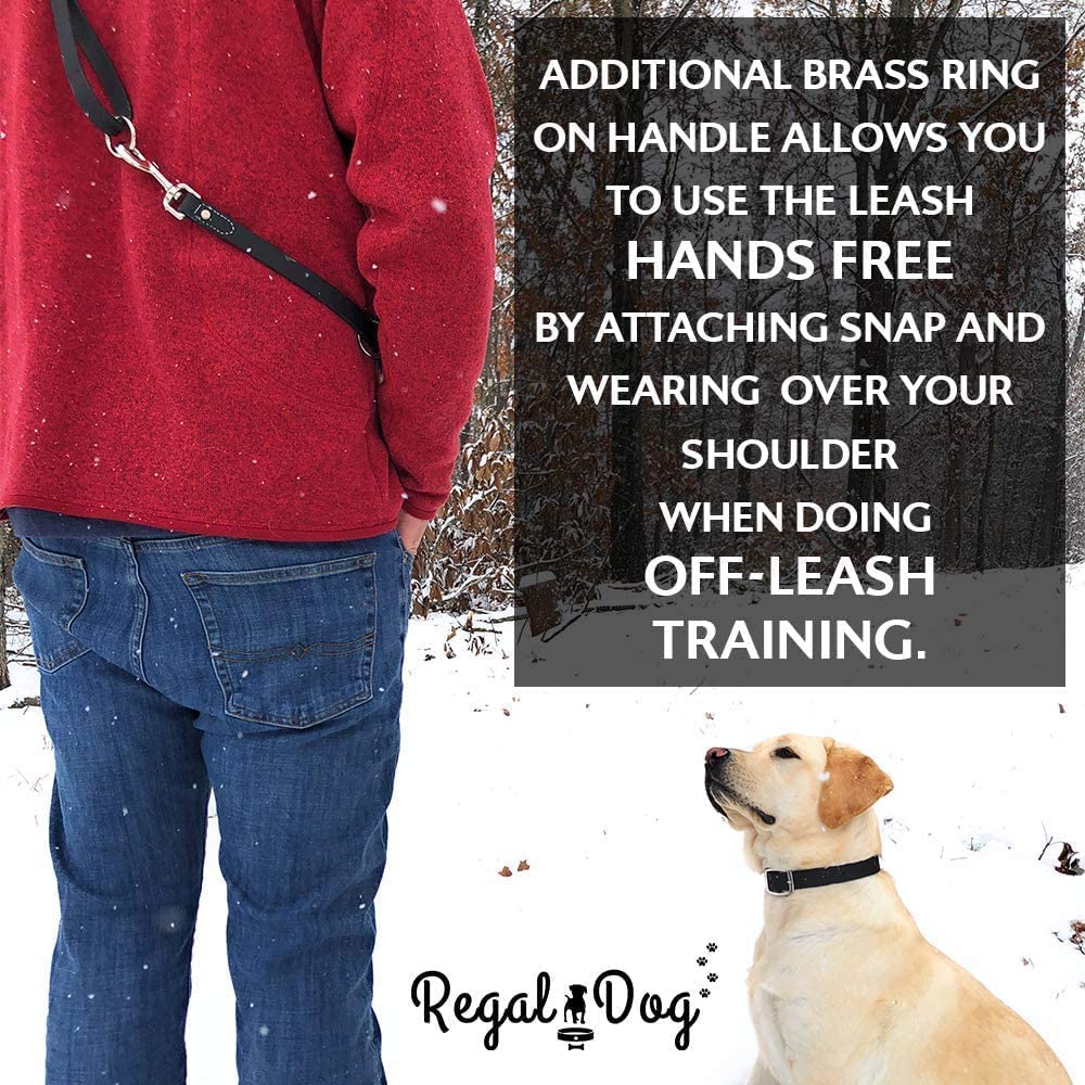 Regal Dog Products Small Pink Waterproof Dog Collar and Leash Set - Heavy Duty Double Buckle & D Ring | 5ft Chew Resistant Biothane Leash | Adjustable Waterproof Dog Collar for Small Dogs | Perfect for Walking, Training & Outdoor Adventures