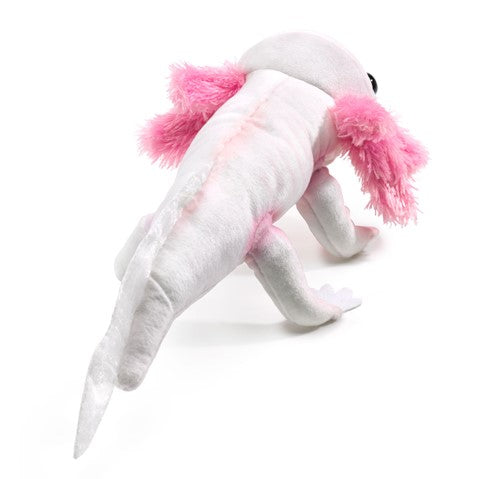 Live Axolotl for Sale - Rare Mexican Walking Fish - Perfect for Aquariums, Science Projects & Exotic Pet Lovers